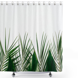 Personality  Flat Lay With Assorted Green Foliage On White Backdrop Shower Curtains