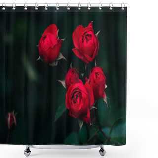 Personality  Romantic Red Roses Blossoming Outside In Autumn, Floral Concept, Nature Wallpaper With Copy Space Shower Curtains