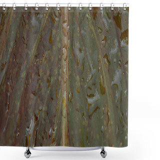 Personality  Full Frame Image Of Colorful Leaf Covered By Water Drops  Shower Curtains
