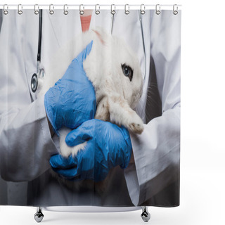 Personality  Cropped View Of Veterinarian With Rabbit In Hands Shower Curtains