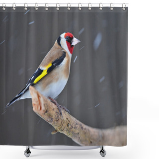 Personality  Goldfinch Shower Curtains