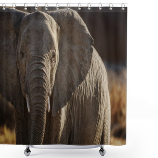 Personality  Wildlife Found On Safari Shower Curtains