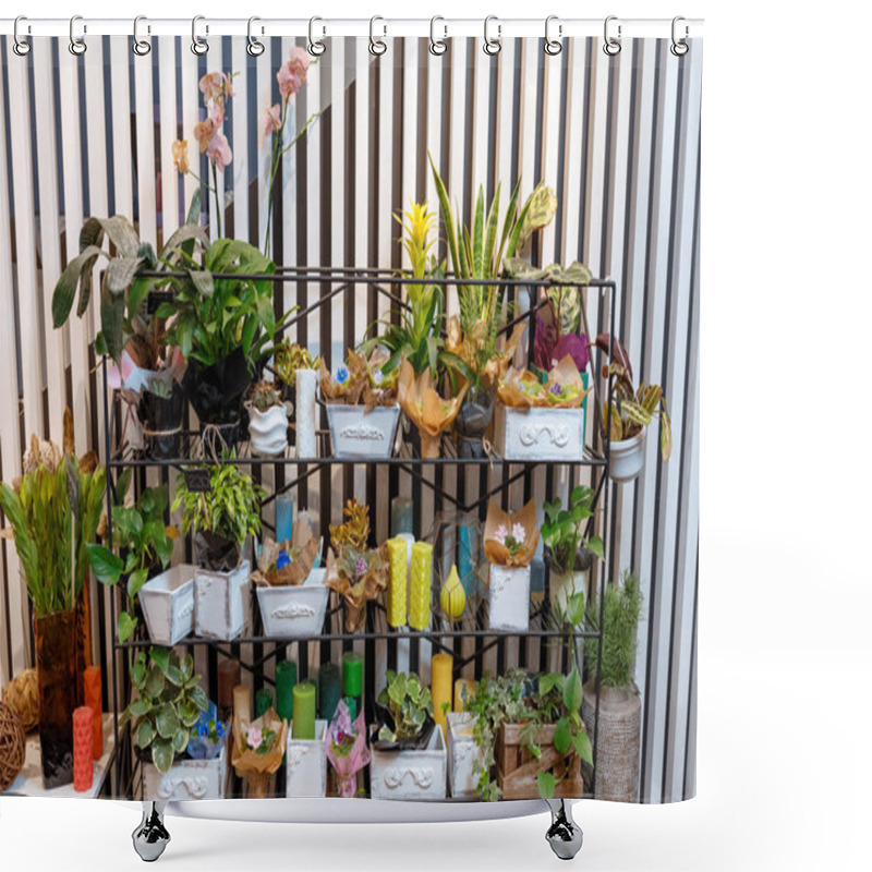 Personality  Fresh Plants In Flower Shop Shower Curtains