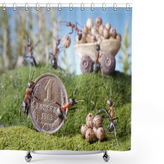 Personality  Ants Market, Purchase, Ant Tales Shower Curtains