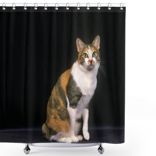 Personality  Japanese Bobtail Domestic Cat Sitting Against Black Background     Shower Curtains