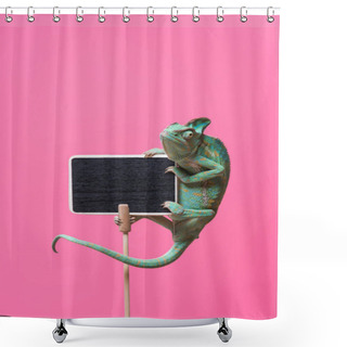 Personality  Tropical Chameleon Crawling On Blank Board Isolated On Pink Shower Curtains