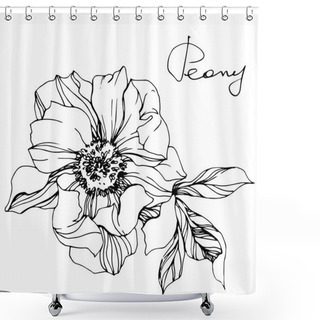 Personality  Vector Isolated Monochrome Peony Flower Sketch And Handwritten Lettering On White Background. Engraved Ink Art.  Shower Curtains