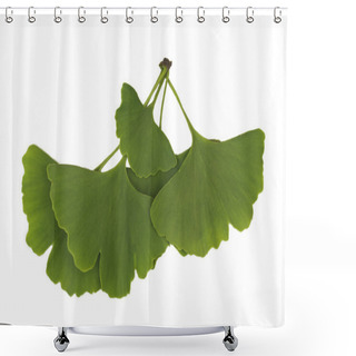 Personality  Ginkgo Leaves Isolated Shower Curtains