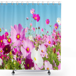 Personality  Cosmos Flowers Shower Curtains