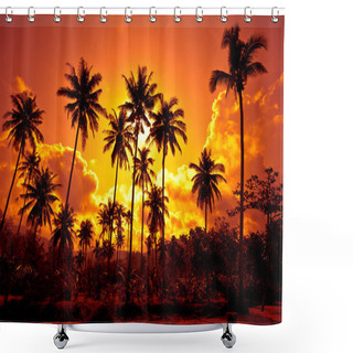 Personality  Coconut Palms On Sand Beach In Tropic Shower Curtains