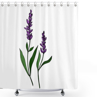 Personality  Vector Wildflower Floral Botanical Flowers. Black And White Engraved Ink Art. Isolated Wildflowers Illustration Element. Shower Curtains
