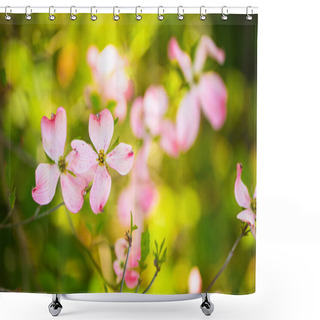 Personality  Beautiful Pink Flowering Dogwood Blossoms Shower Curtains