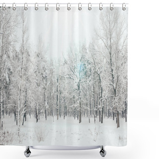 Personality  Scenic View Of Snowy Trees And Sunlight In Winter Forest Shower Curtains