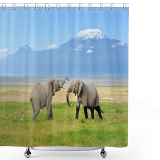 Personality  Elephant With Mount Kilimanjaro Shower Curtains