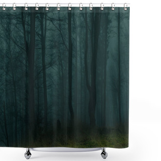 Personality  Creepy Beech Trees Forest In Jeseniky Mountains At Autumn. Gloomy Hilly Foggy Landscape, Tree Trunks. Jeseniky Mountains, Eastern Europe, Moravia.  Shower Curtains