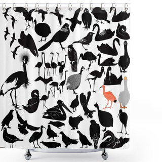 Personality  Set Of Birds Shower Curtains