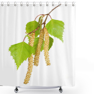 Personality  Spring Birch Buds Shower Curtains