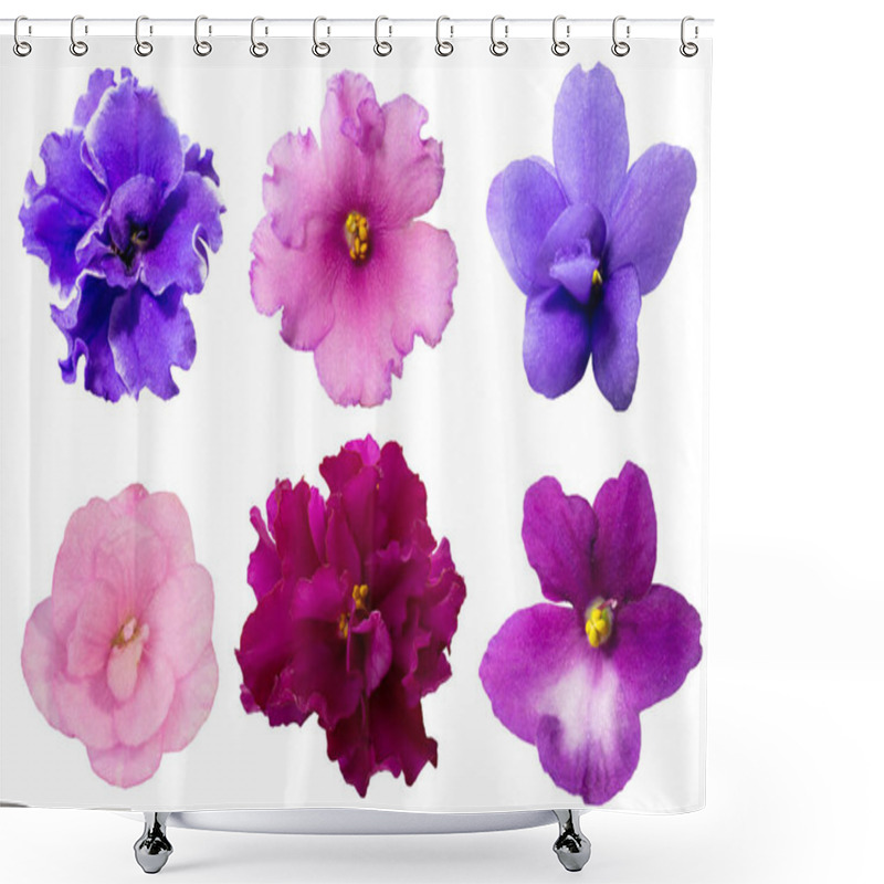 Personality  Set Of Isolated African Violet Flowers, Colorful Different Floral Design Elements Shower Curtains
