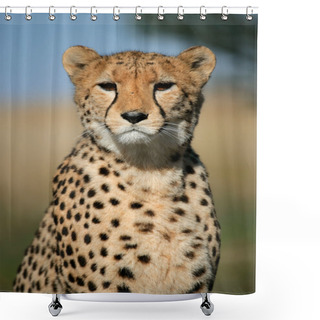 Personality  Cheetah Portrait Shower Curtains