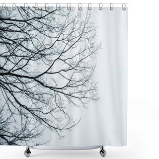 Personality  Dry Tree Branches With Snow Against Clear Blue Sky Shower Curtains