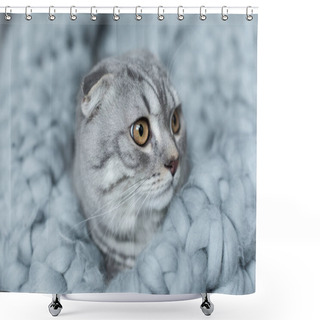 Personality  Cat On Wool Blanket Shower Curtains