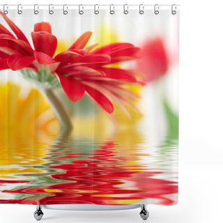 Personality  Red Daisy-gerbera With Soft Focus Reflected In The Water Shower Curtains