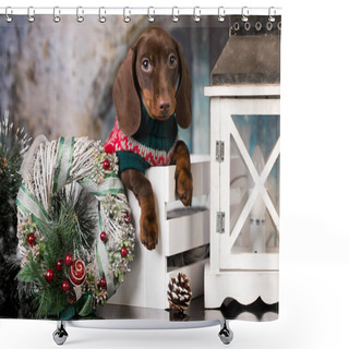 Personality  Puppy Christmas Dog Dachshund Shower Curtains