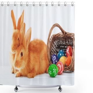 Personality  Rabbits With Easter Eggs On White Background Shower Curtains