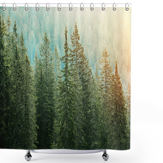 Personality  Green Coniferous Forest Lit By Sunlight Shower Curtains