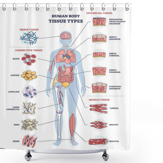 Personality  Human Body Tissue Types With Nerve, Connective And Epithelial Outline Diagram Shower Curtains