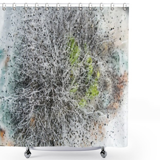 Personality  Mold Shower Curtains