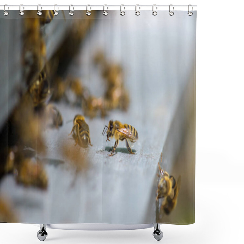 Personality  Closeup of bees on hive shower curtains