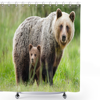 Personality  A Caring She-bear Protecting Her Little Cub From Danger Shower Curtains