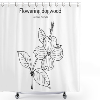 Personality  Flowering Dogwood Cornus Florida , State Flower Of North Carolina Shower Curtains