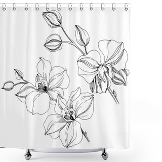 Personality  Vector Tropical Orchid Flower. Floral Botanical Flower. Isolated Illustration Element. Vector Wildflower For Background, Texture, Wrapper Pattern, Frame Or Border. Shower Curtains