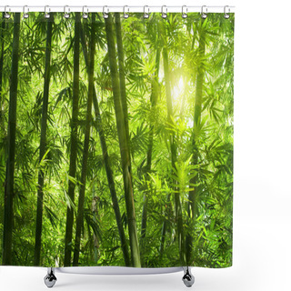 Personality  Bamboo Forest. Shower Curtains