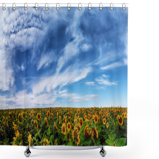 Personality  Panorama Field Of Sunflowers Shower Curtains