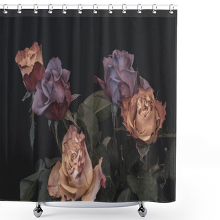 Personality  Pastell Colored Still Life Fine Art Macro Of A Bouquet Of Rose Blossoms On Black Background With Detailed Texture In Vintage Painting Style Shower Curtains