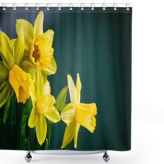 Personality  Yellow Daffodils On Dark Green Background Shower Curtains