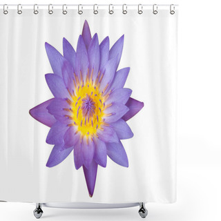 Personality  Purple Lotus Flower  Shower Curtains
