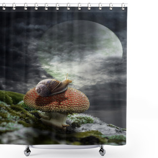 Personality  Reflections In The Moonlight Shower Curtains