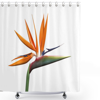 Personality  Bird Of Paradise Flower Shower Curtains