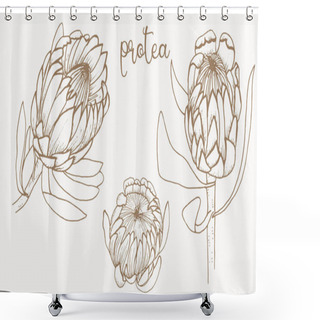 Personality  Protea. Set Of African Flowers. Graphics. Shower Curtains