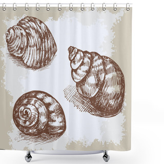 Personality  Seashells Hand Drawn Vector Graphic Vintage Etching Sketch, Underwater Artistic Marine Ornament, Design For Card, Wallpaper, Decorative Texture, Wrapping Paper Shower Curtains