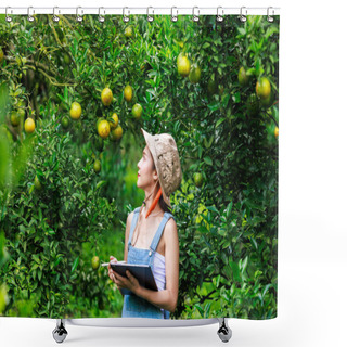 Personality  Orange Farm Female Owner Inspecting Quality Tangerine Fruits Products In Her Garden, Shower Curtains