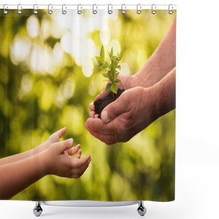 Personality  Close Up Of Senior Hands Giving Small Plant To A Child Shower Curtains