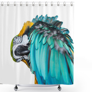 Personality  A Beautiful Blue Macaw Shower Curtains