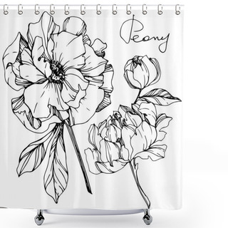 Personality  Vector Isolated Monochrome Peony Flowers Sketch And Handwritten Lettering On White Background. Engraved Ink Art.  Shower Curtains