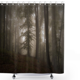 Personality  Old Trees In Dark Forest Shower Curtains