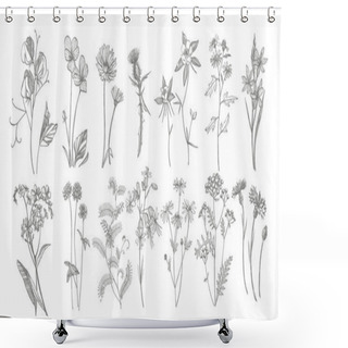 Personality  Collection Of Hand Drawn Flowers And Herbs. Botanical Plant Illustration. Vintage Medicinal Herbs Sketch Set Of Ink Hand Drawn Medical Herbs And Plants Sketch Shower Curtains